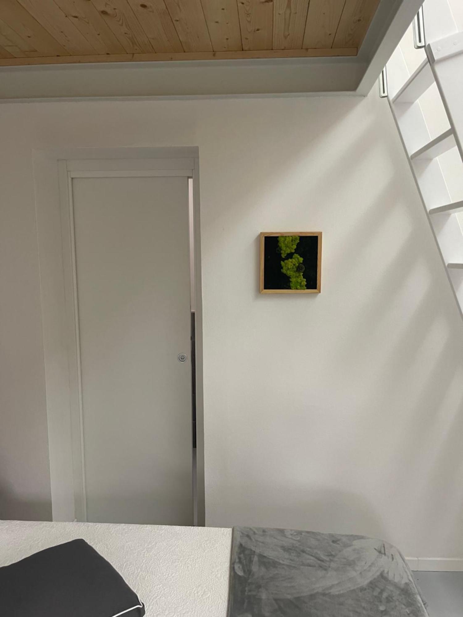 Poveromo B&B Massa  Zewnętrze zdjęcie